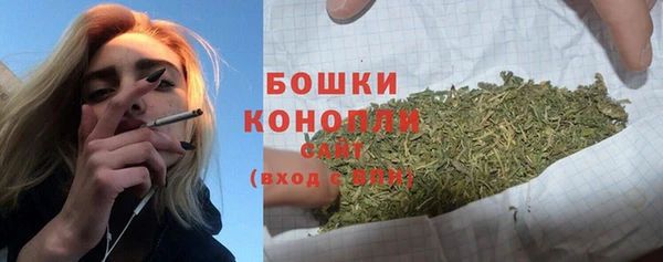 дживик Белокуриха
