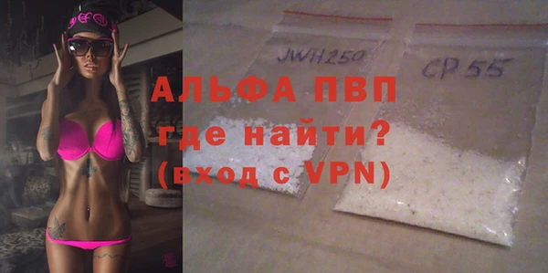дживик Белокуриха